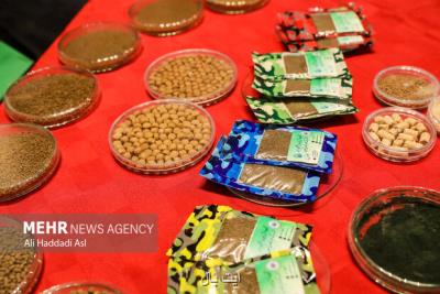 وابستگی شدید به واردات نهاده های دامی چگونه با فناوری حل می شود؟