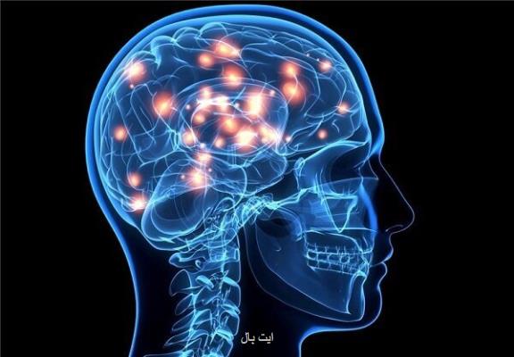 مشارکت ایران در رویداد جهانی آگاهی از مغز