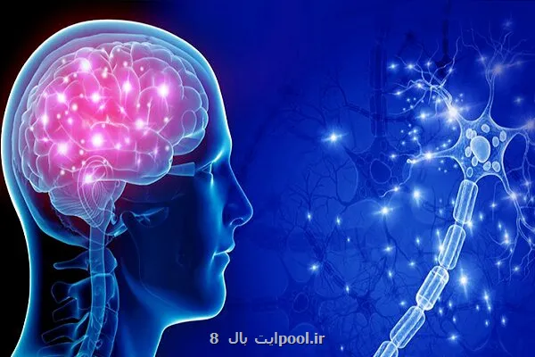 عرضه گرنت ویژه برای پشتیبانی از پروژه های علوم شناختی